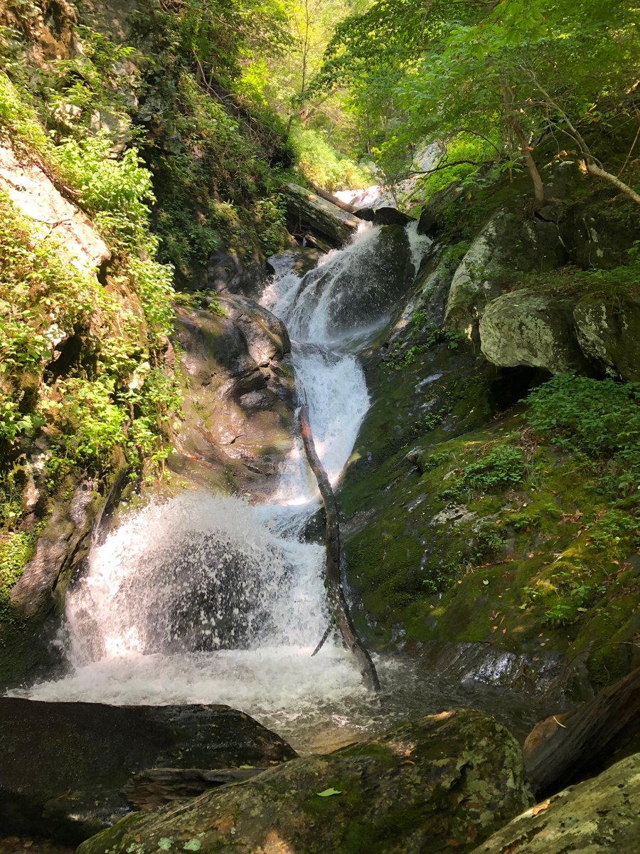 KrupnickJon's tweet photo. Beautiful waterfall on Ledbetter creek #ees152 https://t.co/jC9FWJ3HUw