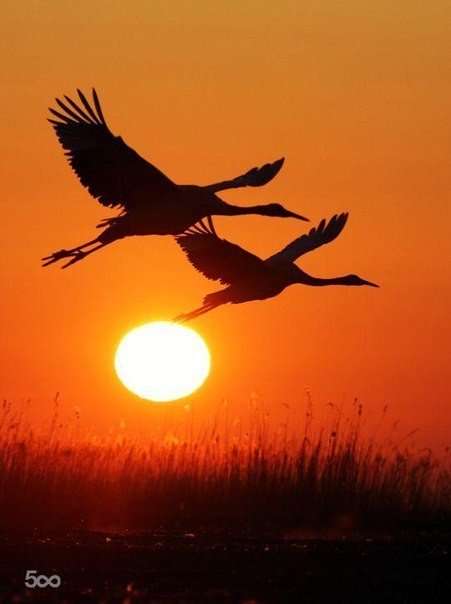 .....Пусть счастье не оставит нас в покое.....
🌺🍁🌺Добрый вечер Всем....