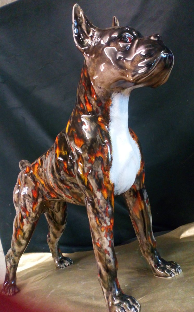 anitabharris's tweet photo. #StokeOnTrent #CeramicCapital #Unique #handpainted #boxerdog #AmericanBoxerDog #Stunning #Unique  special glazing and hand painting to create this wonderful #boxerdog 12.ins tall 24in long so life like rare piece @anitabharris @AHartpottery https://t.co/oUFNAxt4WL https://t.co/Q7mgnPQkLH