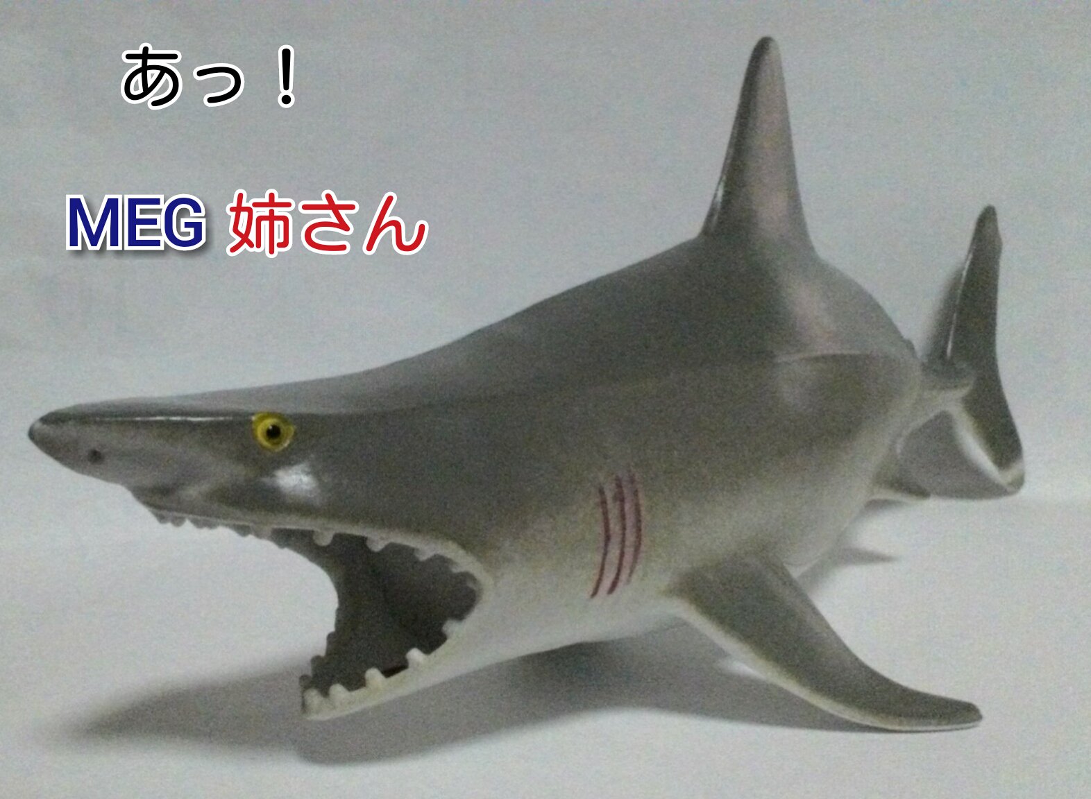 とび 森 サメ 釣り 方 とびだせどうぶつの森背びれの出ている魚を捕まえることができま とび 森 サメ 釣り 方 とびだせどうぶつの森背びれの出ている魚を捕まえることができま
