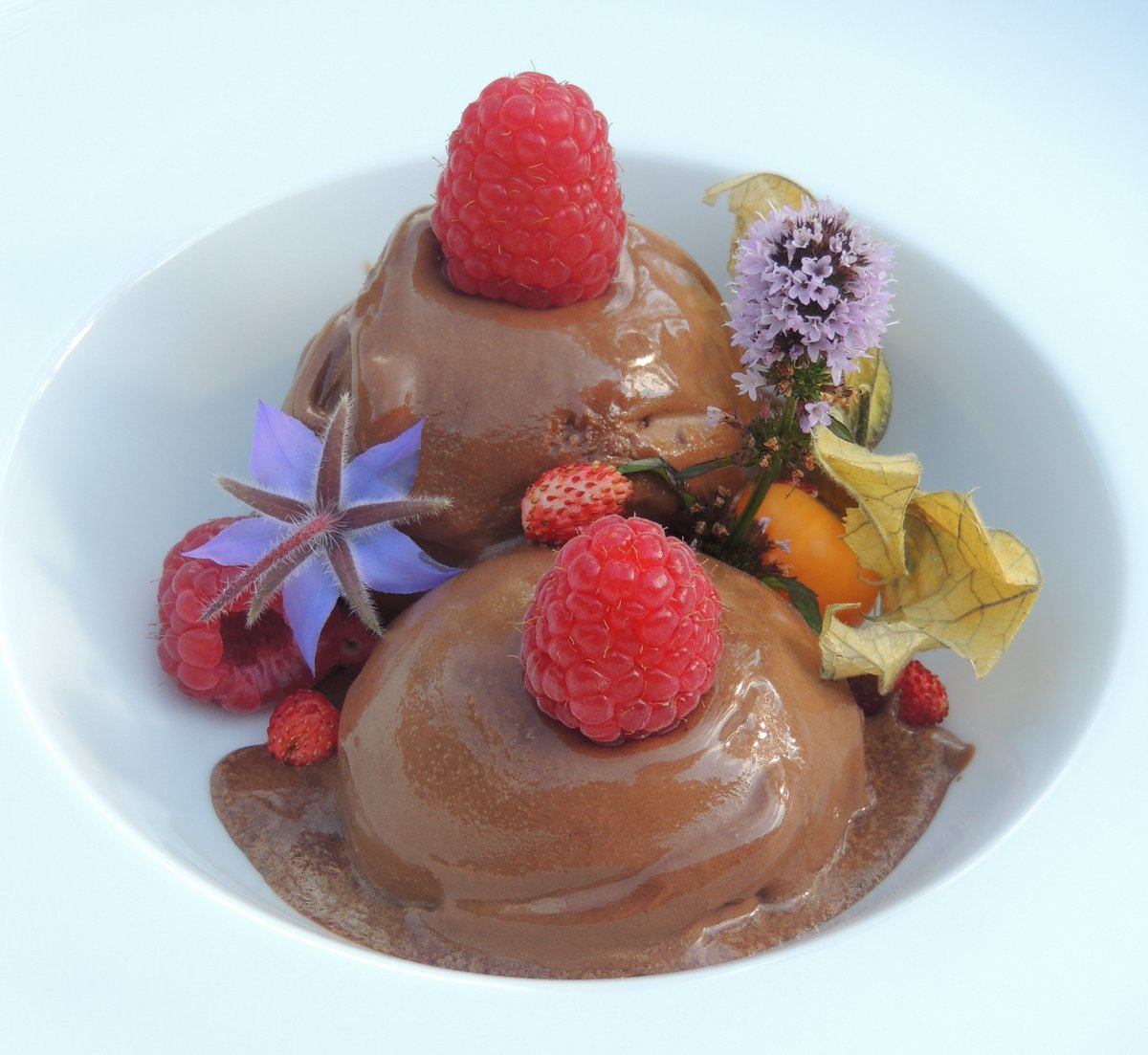 Wanting an excuse to tuck into some chocolate? Today is #InternationalChocolateDay – a day to celebrate all things cacao! Read my latest blog and try making my dark #chocolate sorbet.
frenchchefathome.com/international-…