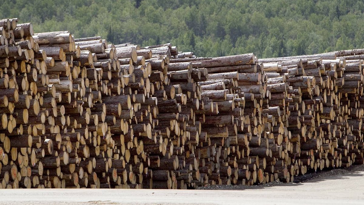 ArtemisWater's tweet photo. Institutional investors are axing timber allocations, is this the start of a wave of #farmland investment?  https://t.co/FcJli4lDvA https://t.co/Bkp8DuulAl