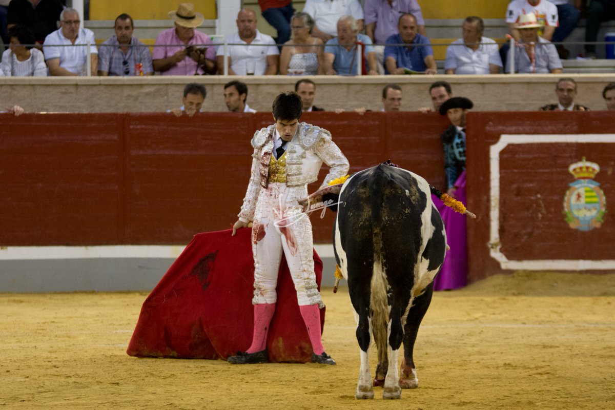 Oreja para <a href="/aquilinogiron/">Aquilino Giron</a> <a href="/info_agiron/">Info Aquilino GIRÓN</a> ayer en Villaseca de la Sagra. Galería: elbelloartedeltoreo.blogspot.com/2018/09/10-09-…