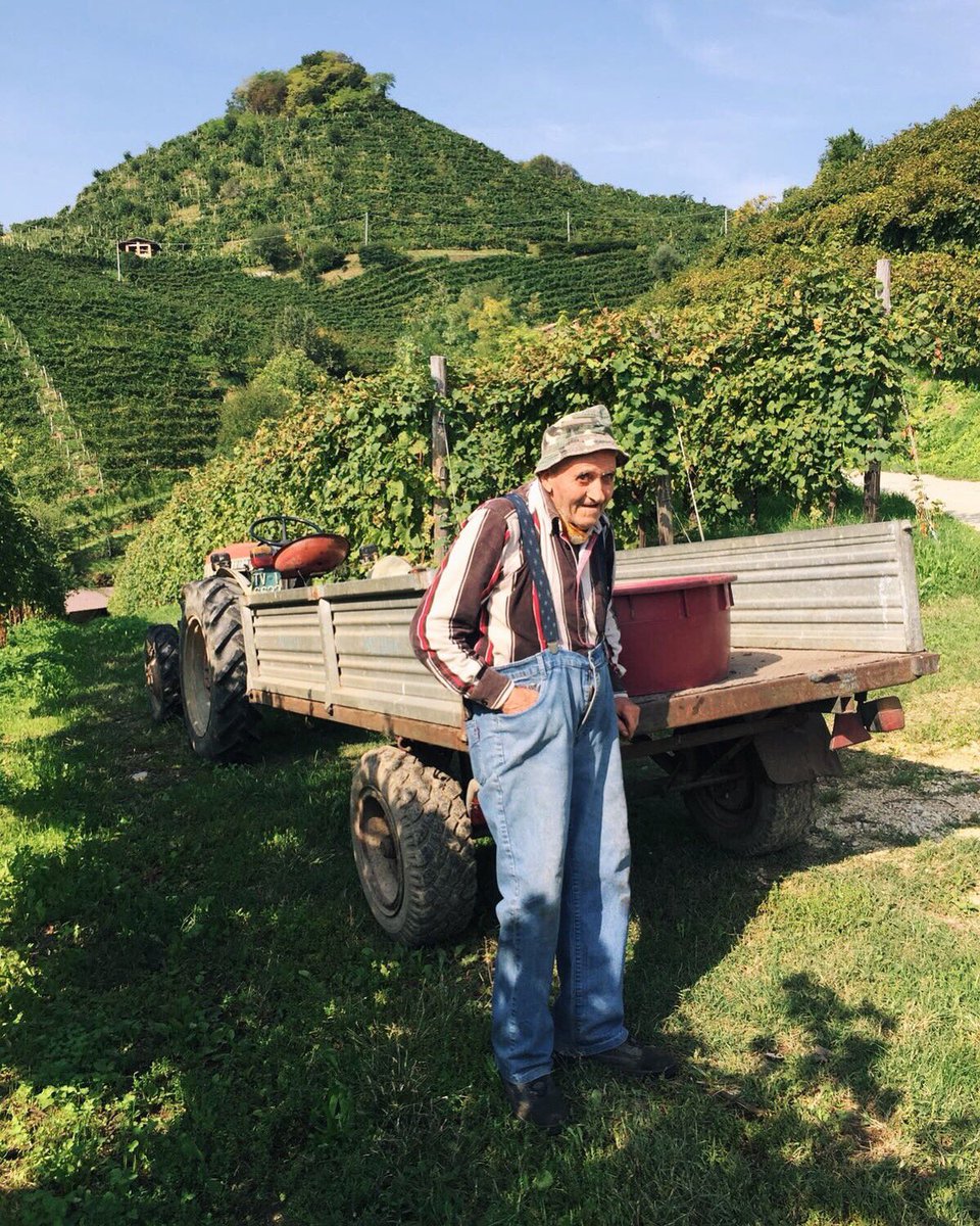 ProseccoCV's tweet photo. Un perfetto testimonial della nostra vendemmia: Carmelo detto Melo, da 89 anni tra le “rive” del Conegliano Valdobbiadene! 👏🏻 https://t.co/qHHWIJJYVN