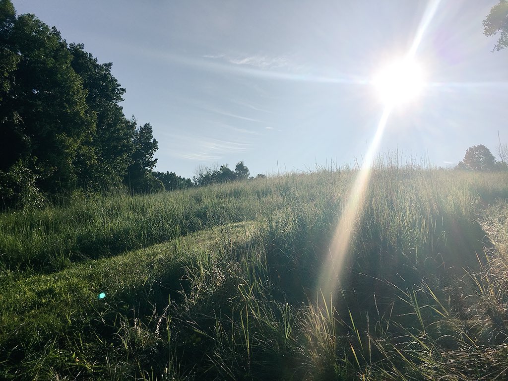 MILESCAT's tweet photo. Life has hit me hard the last 24 hours. Need some time with my boy, my family, my friends, and some tree stand therapy! God is good all the time...the man upstairs got me. https://t.co/I2Znz24sgb