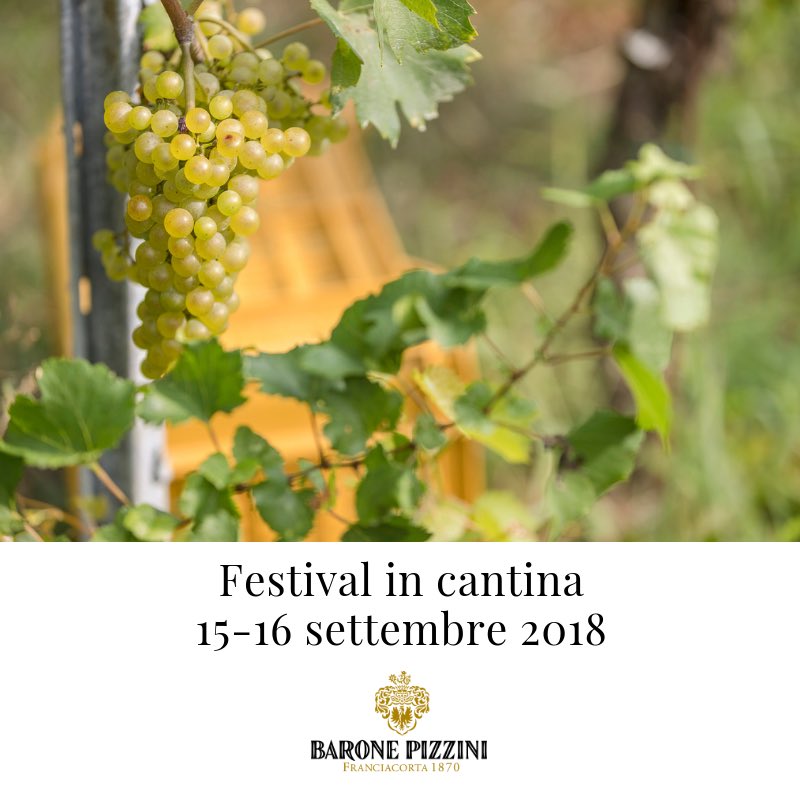 PizziniBlog's tweet image. #festivalfranciacorta baronepizzini.it/visite