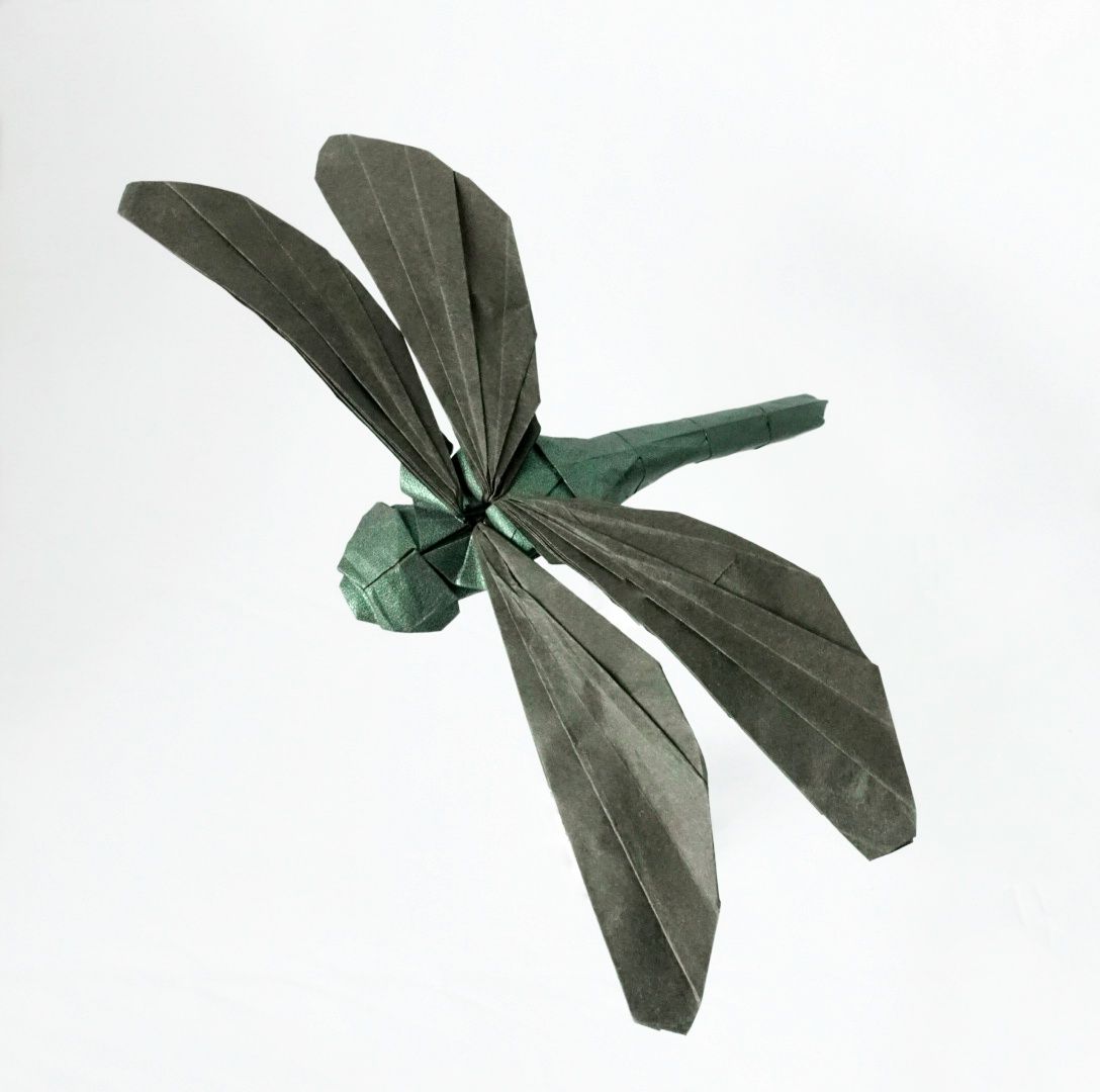 Origamime On Twitter This Beautiful Origami Dragonfly Is