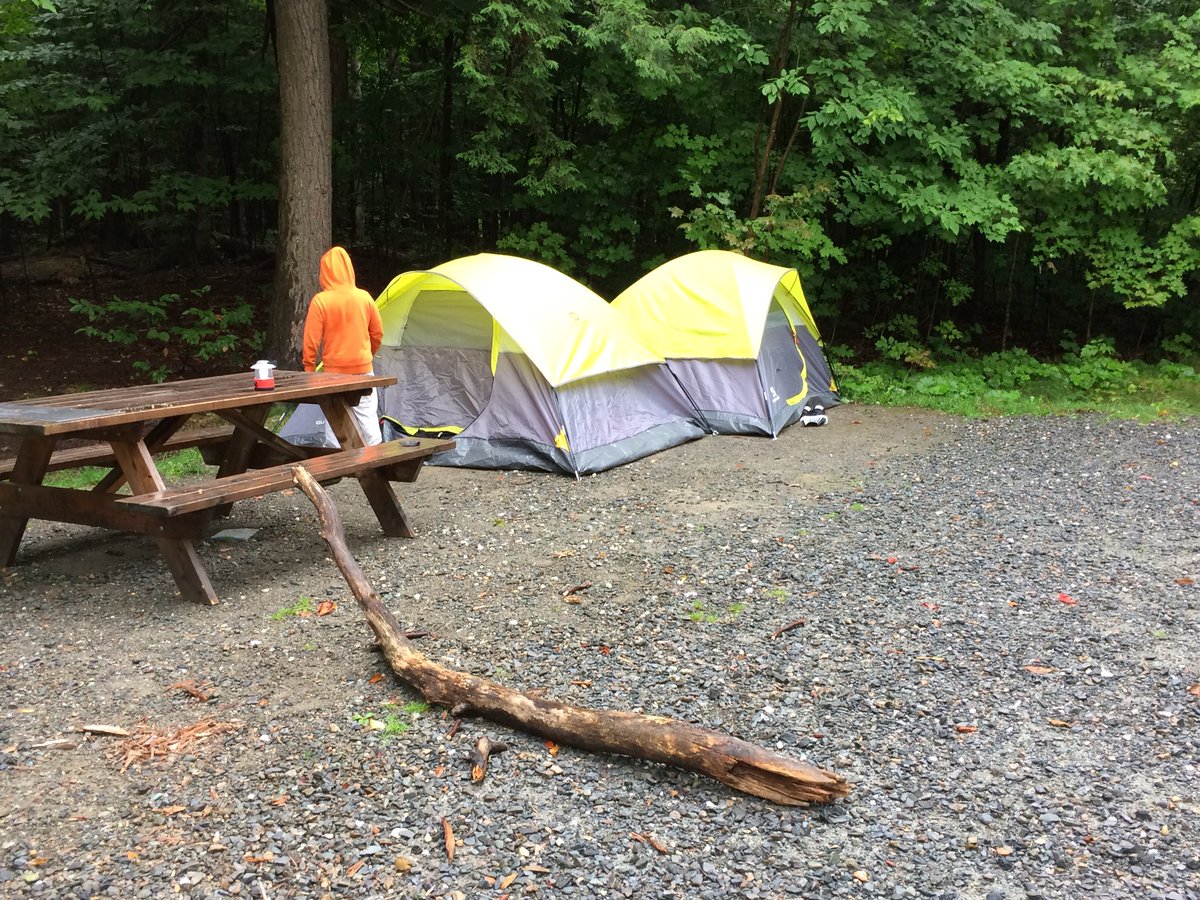 Hampstead School tweet media