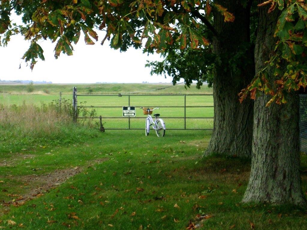 GothicGlass's tweet photo. This is how I feel this morning... #September11th #TuesdayThoughts #serene #blessed #uncertain #leadme #whattodo #quiet #concerning #biking #ilovemyfamily #portwilliams #starrspoint #wolfville #NovaScotia https://t.co/zaga7fymJu