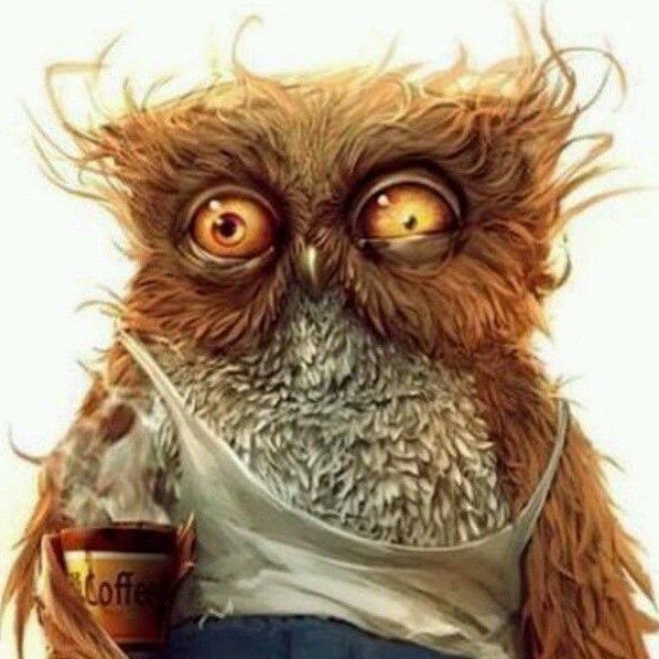 m_diakiw's tweet photo. Accurate selfie waking up early to check out a 6 am spin class at @fitrepublicyyc - but as always a great class! #morningworkout #spinclass #yycfitness https://t.co/UhWCIGJNzJ https://t.co/RehEve3Gi4