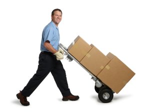 TrainerTrain's tweet image. Get the professional experts training for #manualhandlingtrainthetrainer and choose your carrier in the demanding fields by #Trainmytrainer. Contact us at: 01708320478
#TrainerTrain
Find More: trainmytrainer.co.uk/contact