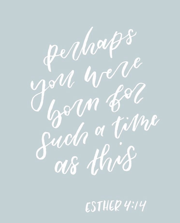 h_shultz's tweet image. Esther 4:14b