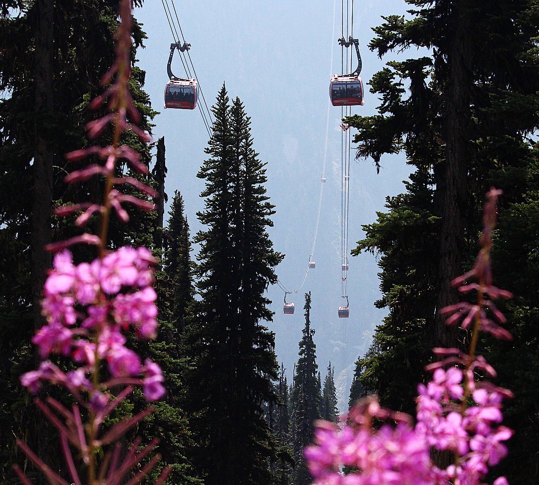 GoWhistler's tweet image. An epic view of the 3.3km line that carries the Peak2Peak gondolas over the valley between Whistler and Blackcomb mountains. #OnlyInWhistler 

Photo: instagram.com/whis_life