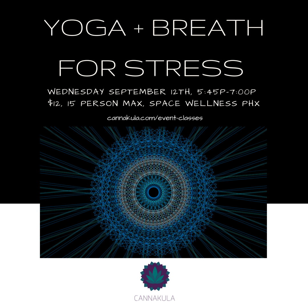 cannakula's tweet photo. Melt your stress away... - https://t.co/7BrAQj30h6 Restore, renew, relax with #Yoga and #SoundHealing in #PhoenixArizona https://t.co/6ATYMjyebd