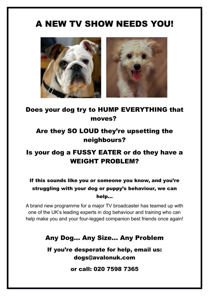kate_lawrence's tweet photo. Calling all UK dog owners a new TV Show needs you! Are you struggling with your dogs behaviour? Do you need expert advice to get things back on track? Is your dog too friendly, loud, possessive or bad habits? E: dogs@avalonuk.com #fussyeaterdog #overweightdog #dogstagram #ldogs https://t.co/MYkFoFQlG8