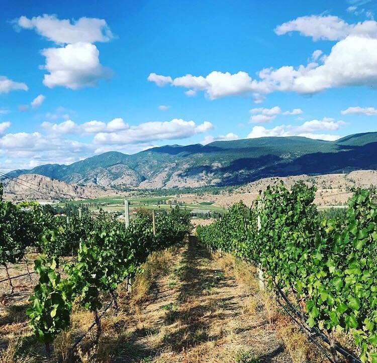 CocoEventsInc's tweet photo. Good Morning! We are at See Ya Later Ranch for our Rocky Mountain Bride editorial today. The weather is looking perfect.

 #earlymornings #eventplanner #weddingplanner #okanaganwedding #CocoEvents https://t.co/lBVxa8FIel