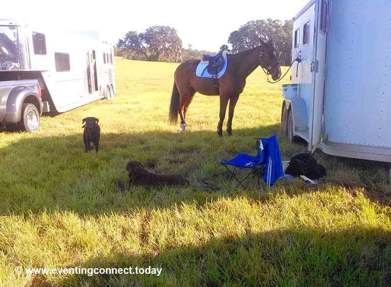 Equi-Signs tweet media