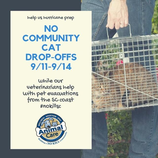 Animal Care is a designated emergency shelter during disasters like the impending Hurricane Florence. We're prepping to get as many of our animals out to other shelters as possible so we can take in evacuated animals from the coast. As a result, we will … ift.tt/2oZsDAo
