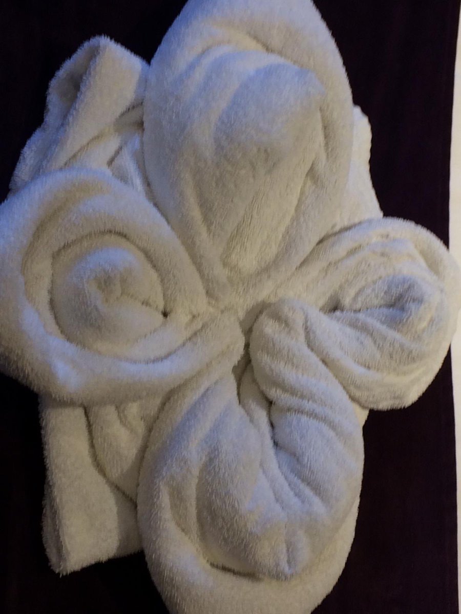 @PIWOLVESNORTH tweet media