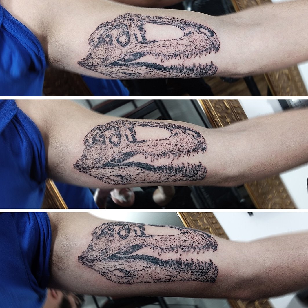 MartinComoglio's tweet photo. #tattoo realizado en #comogliotattooatelier
Fede me confirió el honor de su primer tatuaje, en el brazo interno.
#puntillismo #pointillism #dotstattoo #dotswork #dinosaurio #dinosaur #giganotosaurus #giganotosaurio #craneo #skull #inked https://t.co/2nreal3hPu
