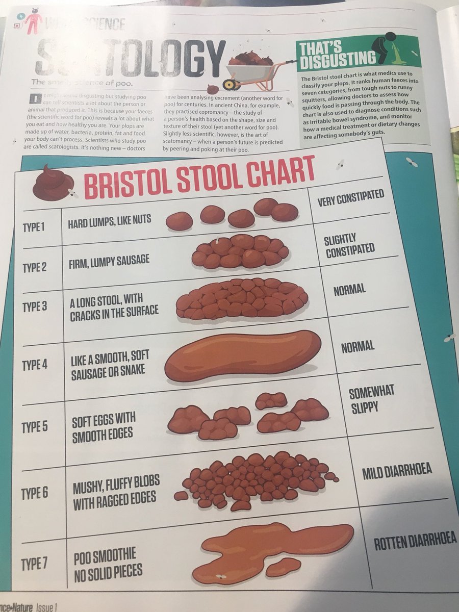 XtremeEverest's tweet photo. Just got a very special delivery from the @theweekjunior team of the brand new #ScienceandNature magazine.Thanks for popping us in the 1st issue and helping us tell the #futureSTEM leaders about our research. We’re now all looking at where our poop falls on the #bristolstoolchart https://t.co/KUzq4LzDDB