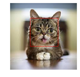 radastrat's tweet photo. Object detection from radio galaxies to... cats. Talking about #adaboost & #haarcascade in my talk on #datascience with #Python today at #bigdataafrica 2018 @rachaelevelyn @OgNimaeb https://t.co/98iEqFaWnv