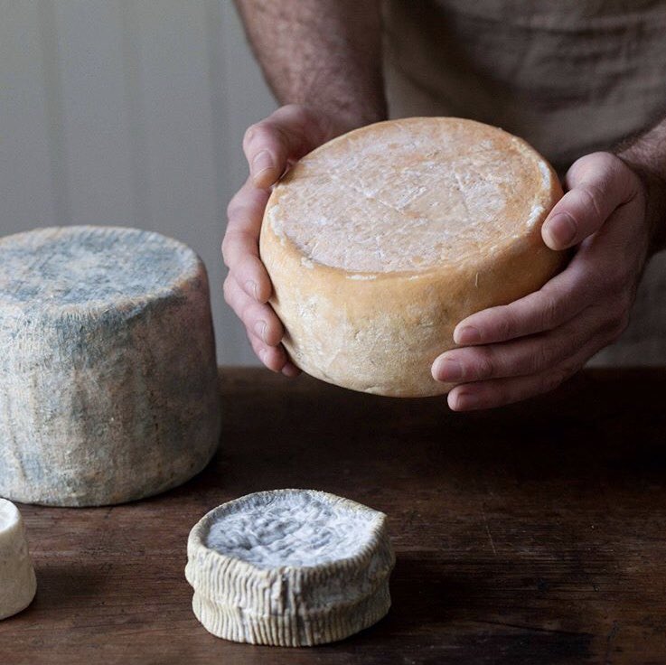 somoslifestyle tweet media