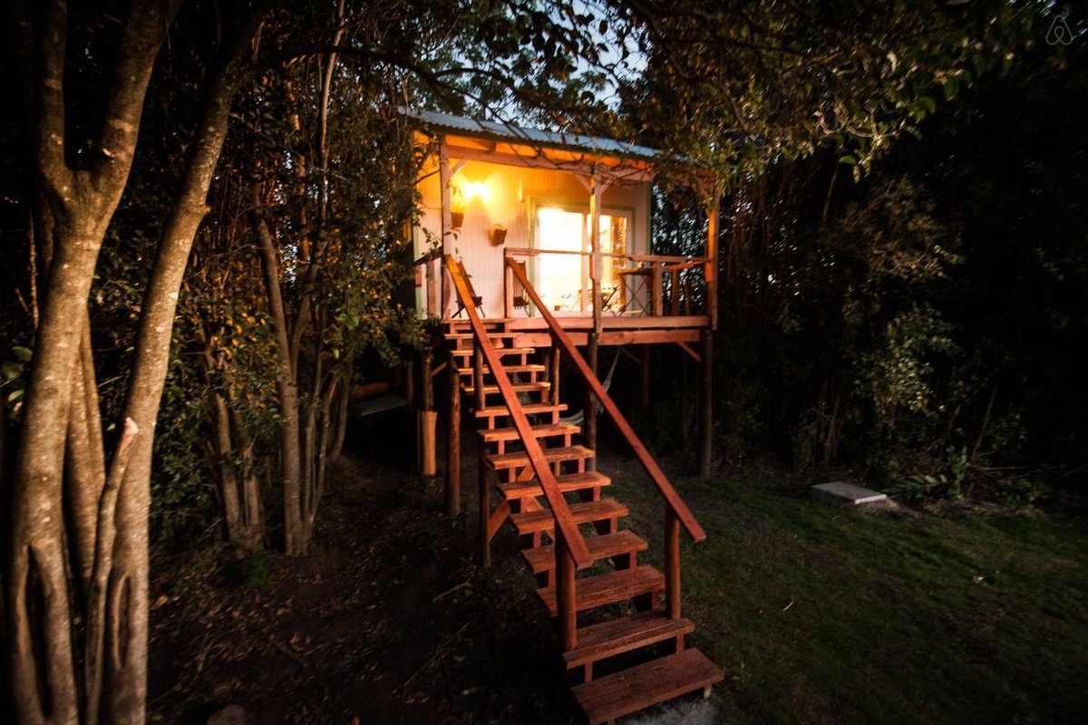 somoslifestyle tweet media