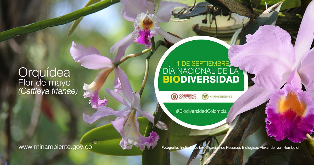 MinAmbiente Colombia tweet media