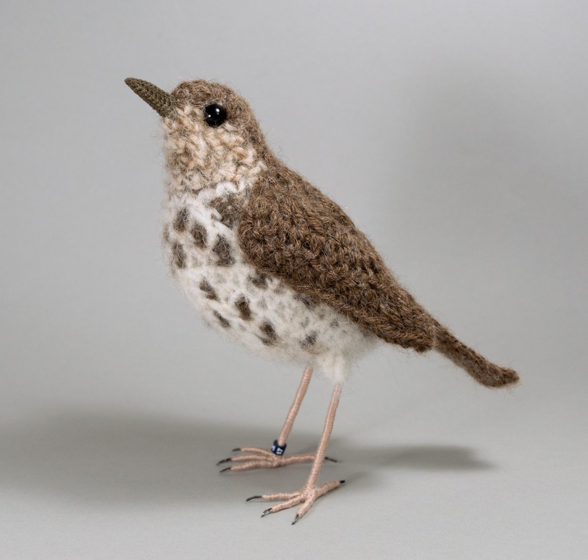 GlosGuild's tweet image. Coming up at The Guild at 51: Wool Pack - celebrating the rich heritage of British sheep breeds and their wool. New work from Guild members and invited guests Jose Heroys, Alison Ellen and Janie Withers. Opens 25th September guildcrafts.org.uk/exhibitions/wo…
.
#wool #woolpack #cheltenham