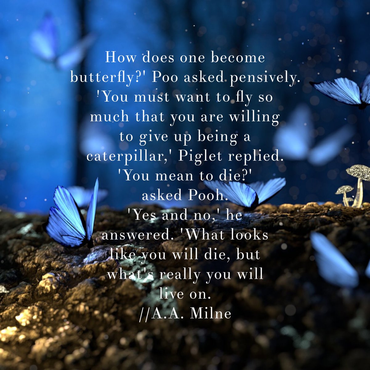 GiedreNord tweet media