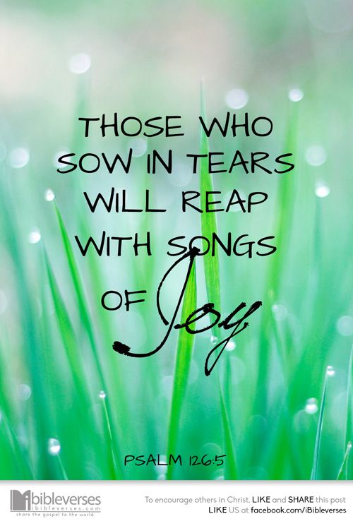 fermin_marilou's tweet photo. The pain we feel today will never compare to the joy tomorrow! Jave a blessed one!
@urmyflashlight @PaaNgMaiChard @armm2015 @pasweeet @iceTheExplorer @ArtsyBits @AldubandBeyond @amypot25 @tinadl @burijoonche @Adopted_Weasley @aldub_inspires
#ALDUBSolely
#VMReturnToAsgard https://t.co/7S3Pm4t8KK