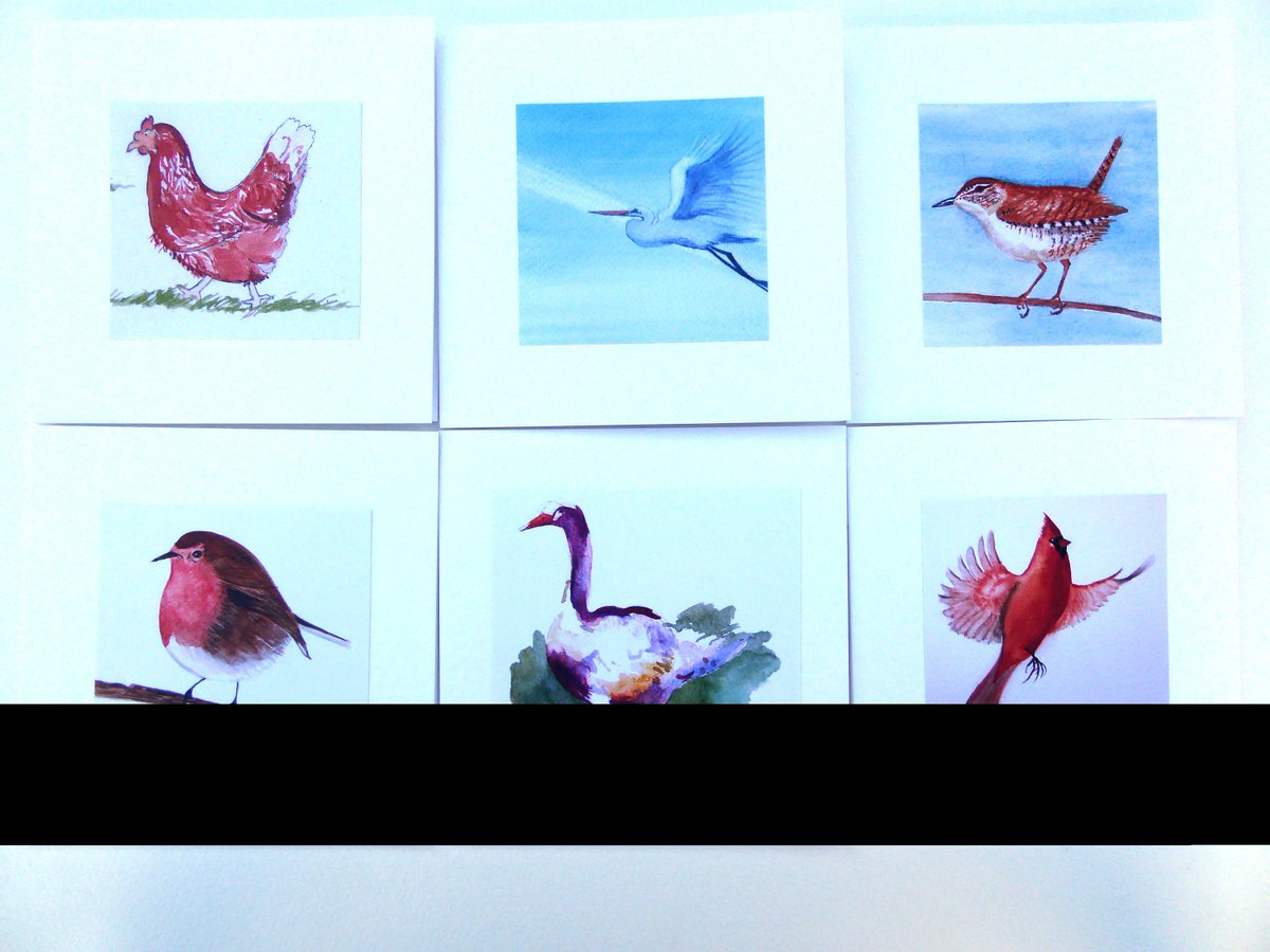 janet purves on twitter bird cards 6 handmade watercolor cards