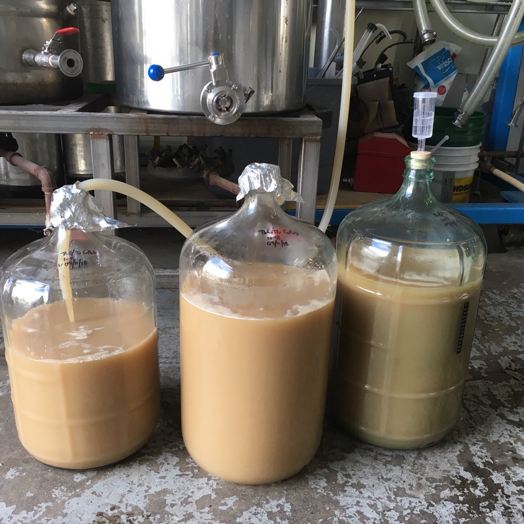 Next steps on the <a href="/TrueGristHBC/">True Grist</a> <a href="/twbcoop/">TWB Co-op Brewing</a> collab brew. Boiled, cooled, and pitched.