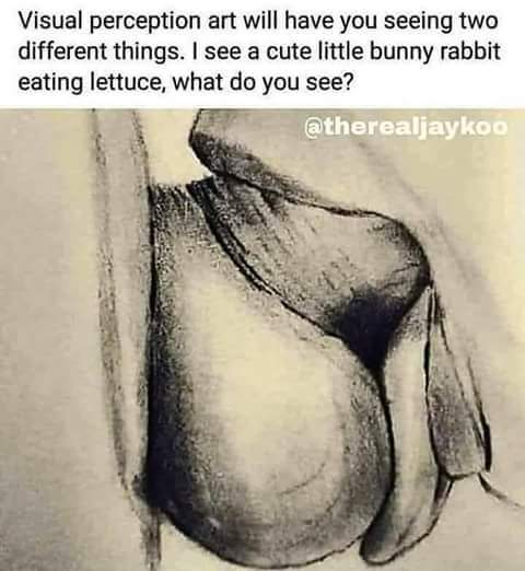 A lot of you, your minds are too far gone shame ...you will never see the rabbit 👏🏽