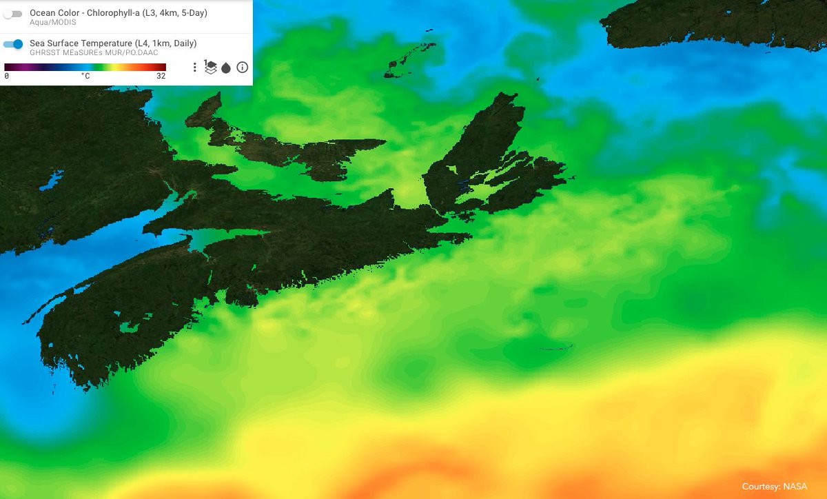 Yeah so here’s the thing, I started heading towards Newfoundland but dang...it’s chilly up there! I think I’ll stick around Cape Breton where it’s warmer and the seals are plentiful!