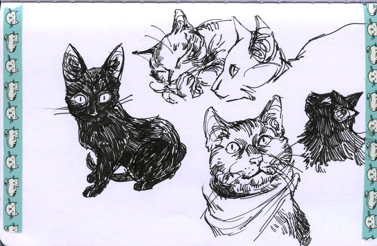 last few pages from my latest finished sketchbook! will attempt another flip thru vid soon (1/2) #myart #cats #fireemblem 