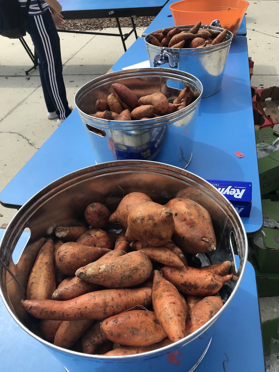 Live.Life.Healthy tweet media