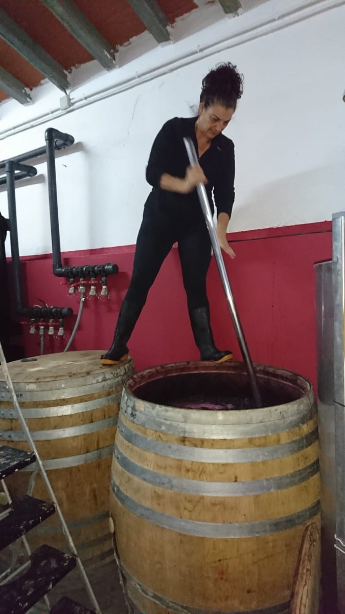 VSeleccionada's tweet photo. Esto se llama #bazuqueo. Vinos elaborados con el mayor mimo y #artesanía posibles. #FincaCollado #Merlot #DOAlicante #Salinas #FlorMerlot #mostoflor #vinotinto https://t.co/Xkq0zY7T68