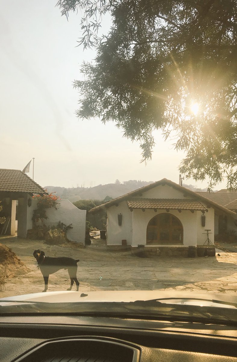 InkaJaroszynski's tweet photo. A man travels the world over in search of what he needs, and returns home to find it. #ProudlySouthAfrican https://t.co/kozYZDXzog