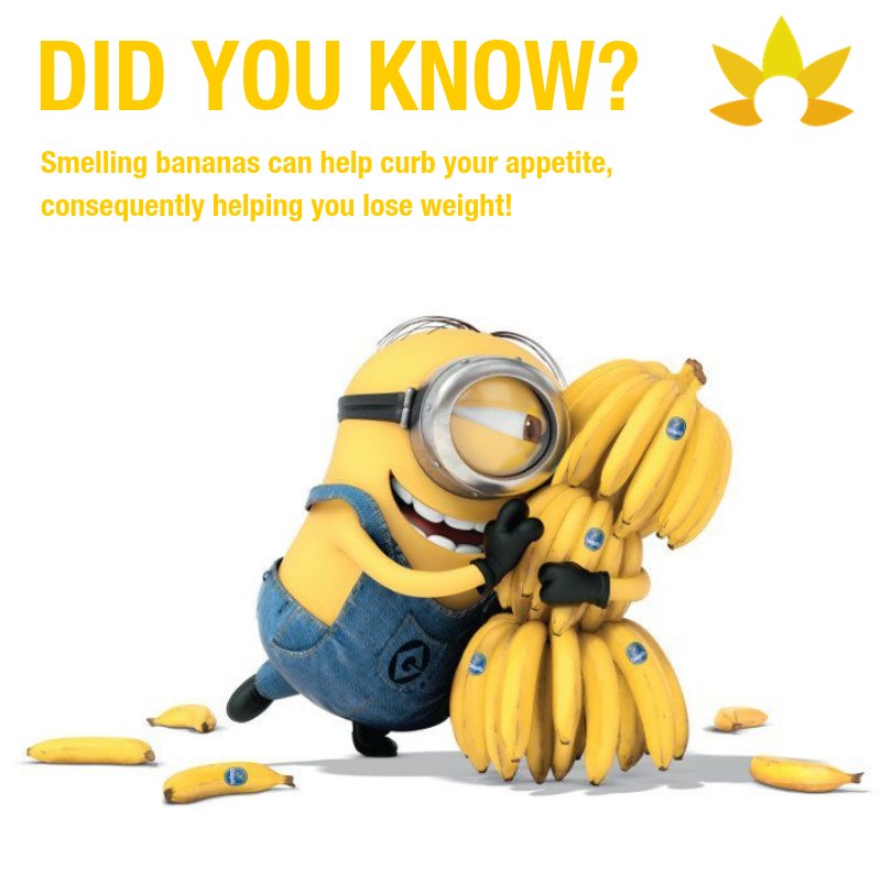 bari_life's tweet photo. Same for smelling green apples! 🍏🍏🍏

#MyBariLife #BariLife #applesandbananas #minions #WeightLossJourney #WLS #WeightLossSurgery #WeightLossMotivation #ItsForMe #bariatricbabes #bodypositive #vsgbabes #rnybabes 
#apples #bananas https://t.co/SAz8XKJOei