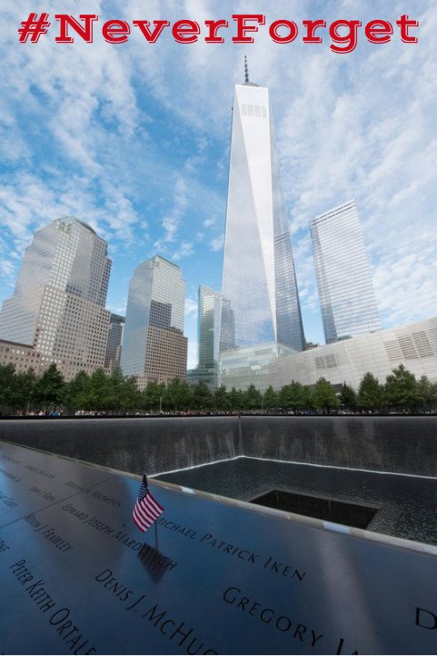 We are taking a break from our normal postings today to honor and remember those we lost 17 years ago #NeverForget