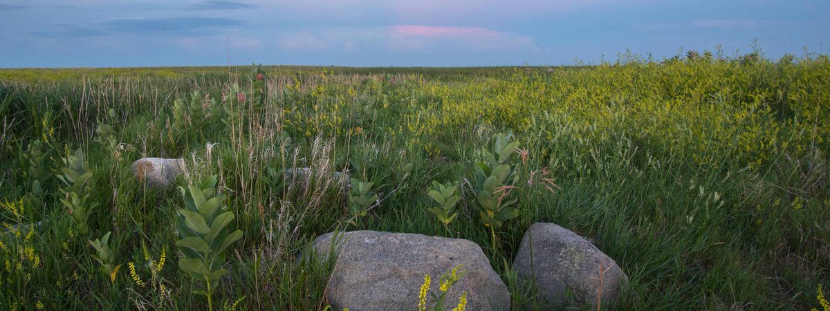 GCAS2018's tweet photo. Affiliate Event Spotlight >> Forest, Food, and Land Day: On Sept. 12, #GCAS2018 Food &amp; Land Challenge Coalition will host a one-day event to showcase the essential role of land and food systems in addressing #climatechange. https://t.co/BU4vex6PaU
 #StepUp2018 https://t.co/oHUGmsWQeg