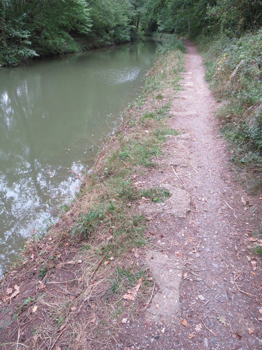 PillboxSG's tweet photo. Recent & Ongoing Work @ Crookham Wharf #BasingstokeCanal Has Exposed More #WW2 #AntiInvasionDefence Wood Obstacle Post Sockets. Dragons Teeth & Surviving Posts In Sockets Can be Seen In Hedgerow South Side @TheBCATeam @CRTnotices @FleetCCSociety @HartCountryside @EnglishHeritage https://t.co/0UXkxV5bt6
