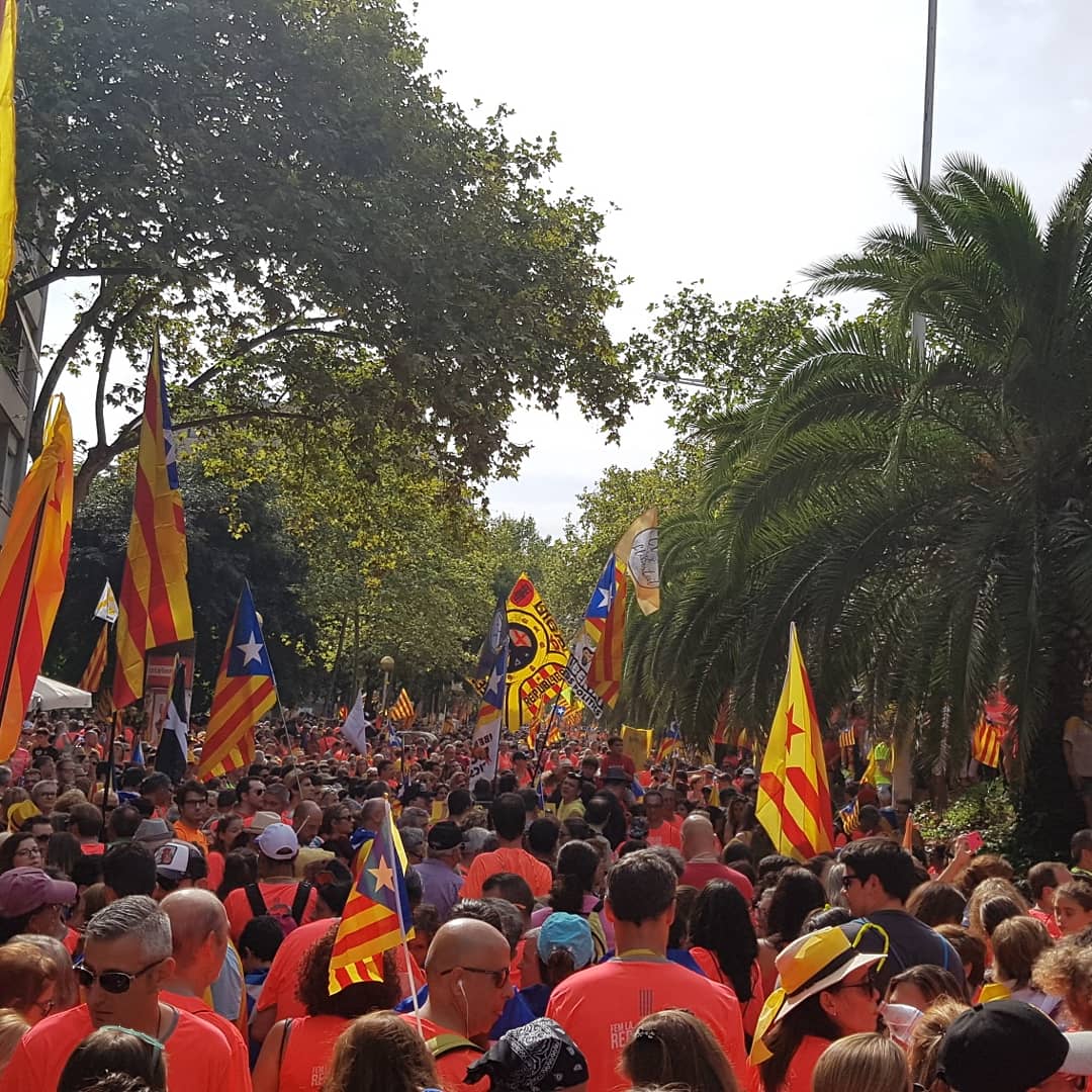 menchi74's tweet photo. @tic #XifresDiada #tram37, lateral de la Diagonal, impossible accedir al tram central a les 16.15h https://t.co/vwSufqjs0G