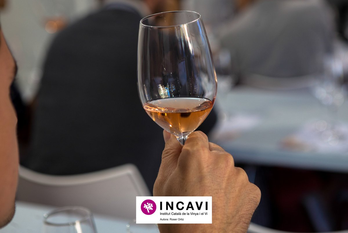 SomGastronomia's tweet photo. #Bondia. Avui des del Moll de la Marina de Barcelona, on en un parell d'hores obre les seves portes la 38a Mostra de Vins i Caves de Catalunya.
#vicatalà #mostracat @incavicat @prodeCAT @agriculturacat @BCNmoltmes @diba https://t.co/grZjxbsrrY
