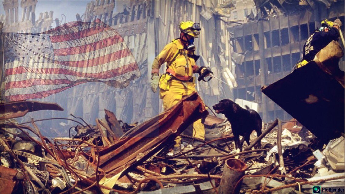 FriendsofBCSK9's tweet image. Never Forget 9/11 🇺🇸