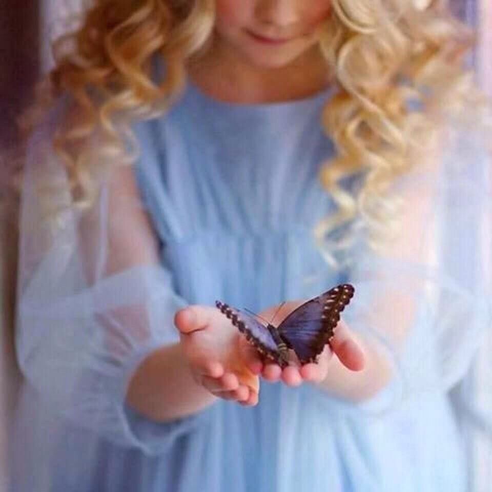 Image result for el regalo de la libertad