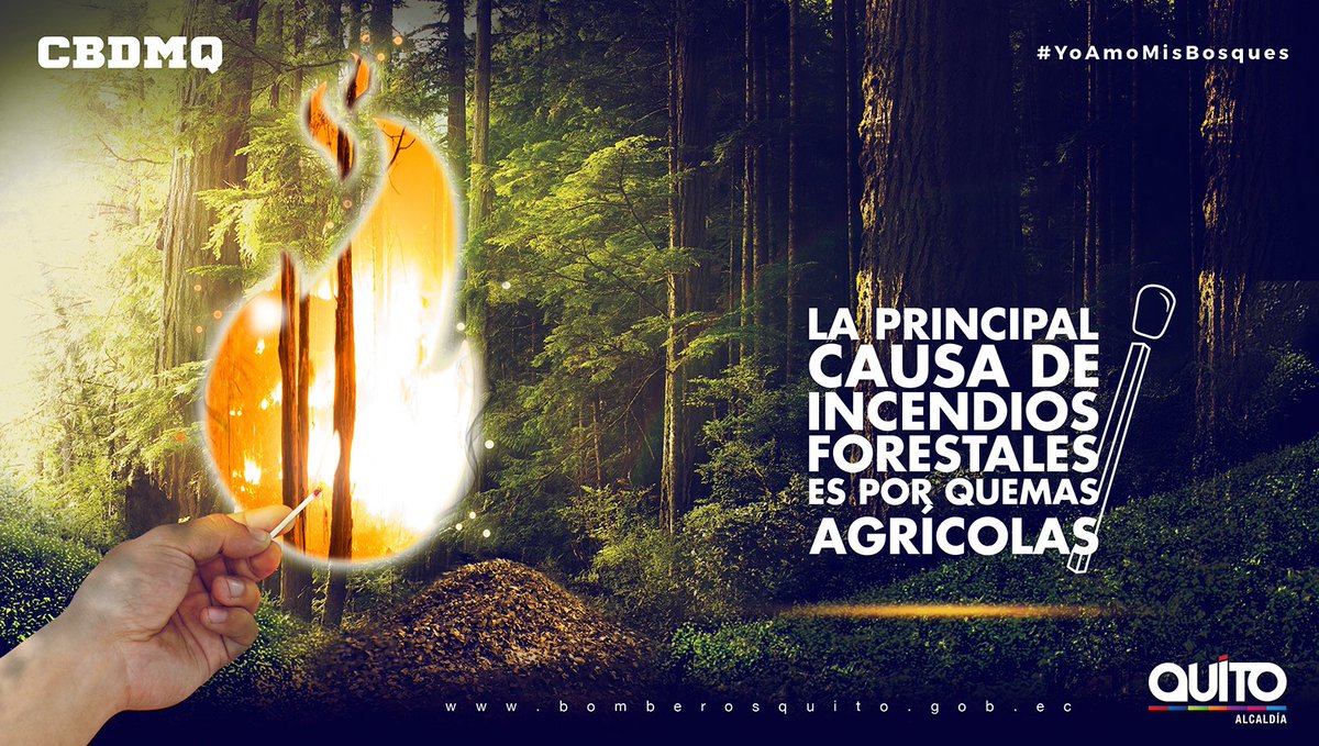 La mano del hombre es la principal causa de incendios forestales en #Quito. ¡Protege el bosque, protege tu hogar! #YoAmoMisBosques