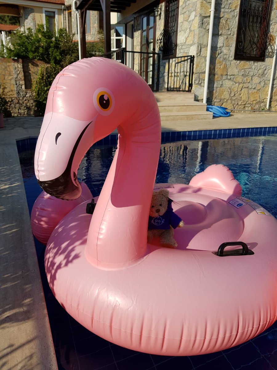 At Pi Crewe Central we have decided to pay for our bernard the bear his freedom. He has worked hard enough this year !!! he is on holiday with our HHK <a href="/KayGallimore2/">Kay Gallimore</a> #holidaytime #youdeserveit <a href="/SDEBDD/">simon ewins</a> <a href="/paulallancurtis/">Paul Curtis 💙</a> <a href="/thebirdlane/">Natasha Lane</a> <a href="/GOSHCharity/">Great Ormond Street Hospital Charity</a>